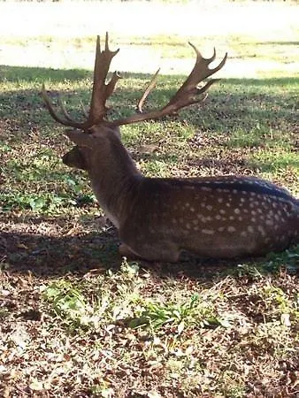 Residenza Letizia Nemeggio