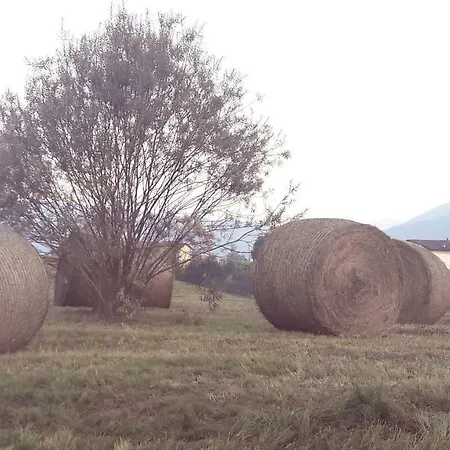 Lejlighed Residenza Letizia