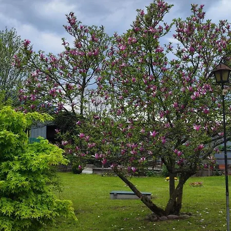 Apartman Residenza Letizia *