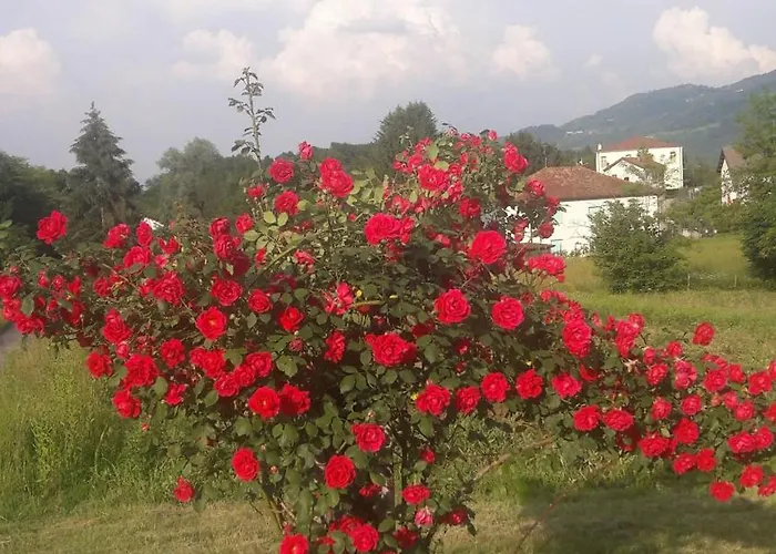 Apartment Residenza Letizia